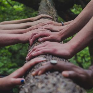 teamwork hands